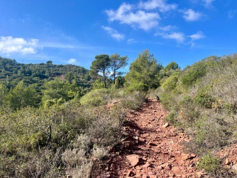 Valencia: Sierra Calderona & El Garbí Mountain hiking Tour - The Sum Up