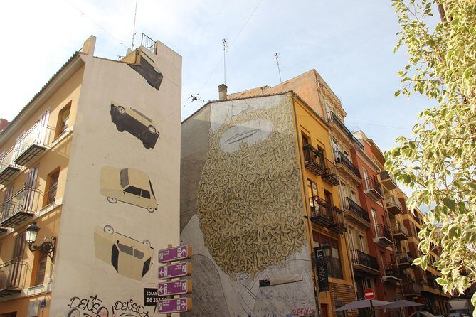 Valencia Street Art | Private Tour by Bike or Electric Ride - A Close Look at the Valencia Street Art Private Tour