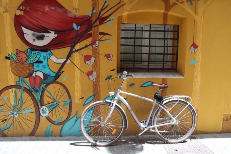 Valencia: Street Art Tour on Bicycle, E-Bike or E-Step - Discover Valencia’s Urban Canvas: Street Art Tour on Bicycle, E-Bike, or E-Step