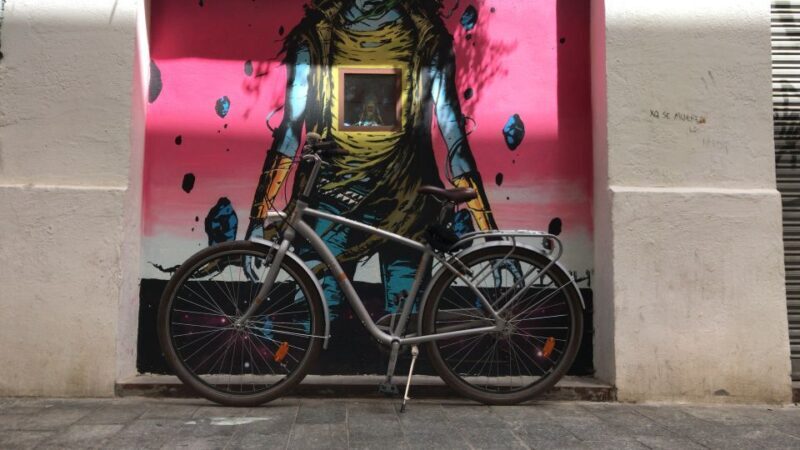 Valencia: Street Art Tour on Bicycle, E-Bike or E-Step - Final Thoughts: Is It Worth It?
