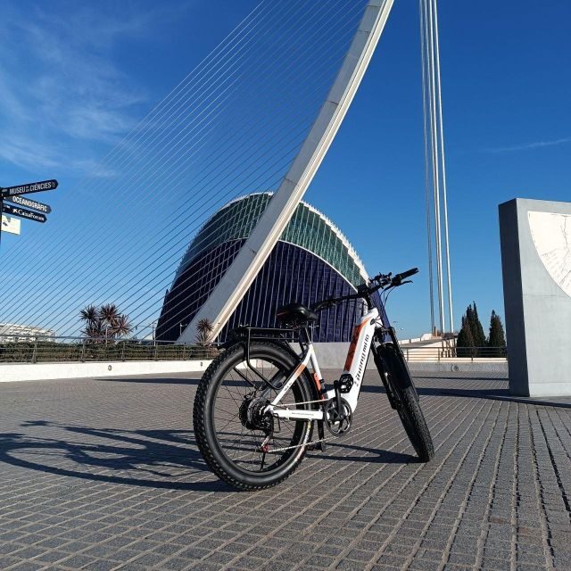 Valencia: The Albufera Lake Self-Guided E-Bike Tour - Who Will Love This Tour?