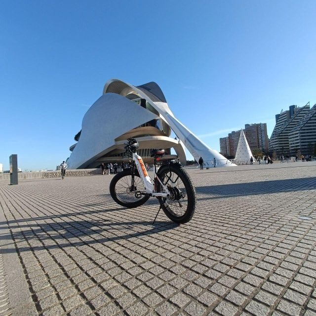 Valencia: The Albufera Lake Self-Guided E-Bike Tour - Final Thoughts