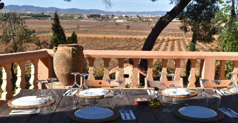 Valencia: Utiel-Requena Cave & Winery Day Trip with Tasting - A Full Breakdown of the Utiel-Requena Experience