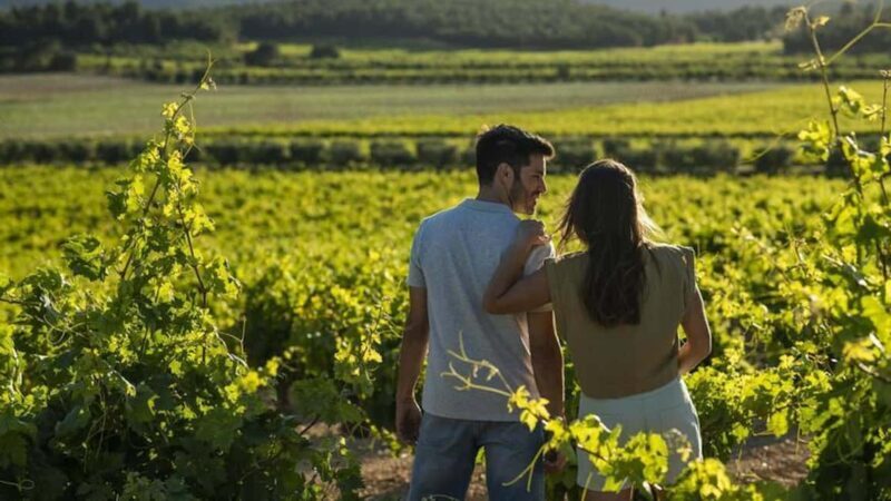 Valencia: Vineyard Tour, Local Wine Tasting and Appetizer - Exploring the Vineyard and Learning the Winemaking Art