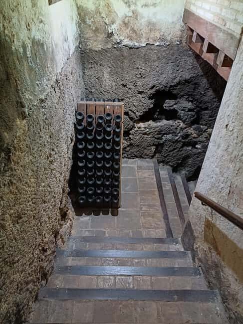 Valencia: Vineyard Tour, Local Wine Tasting and Appetizer - FAQ