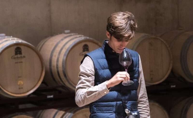 Valencia: Vineyard Tour with Local Wine Tasting & Appetizer - Final Thoughts