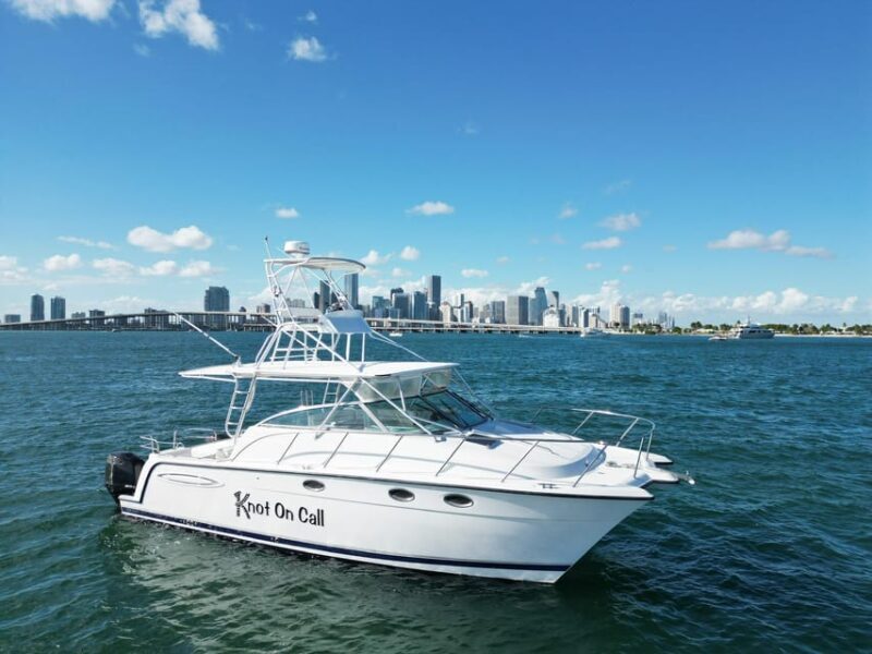 Valencia: VIP Sunset Cruise in Catamaran with drink - Practical Tips for the Best Experience