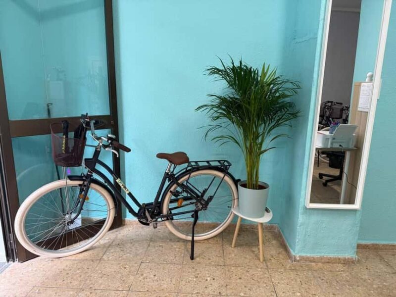 Valencia Volt Bike Rental: 4-Hour Bike Rental - A Closer Look at the Valencia Volt Bike Rental Experience