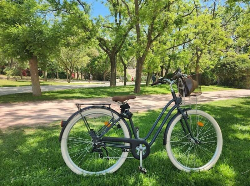 Valencia Volt Bike Rental: 4-Hour Bike Rental - The Sum Up
