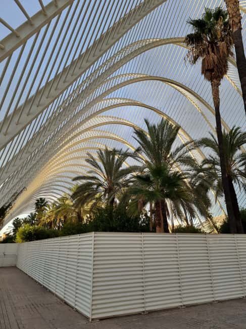 Valencia: Walking tour of the City of Arts and Sciences in Italian - Who Would Benefit Most?