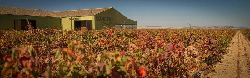 Valladolid: Concejo Bodegas - Key Points