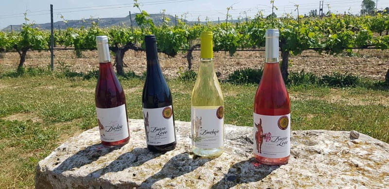 Valladolid: Concejo Bodegas - Exploring the Tour: What to Expect