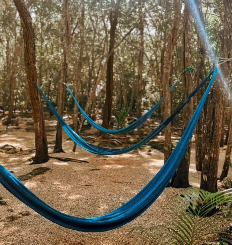 Valladolid: day pass to the Secret Mayan Cenote with cenote, pool, and jungle - The Sum Up