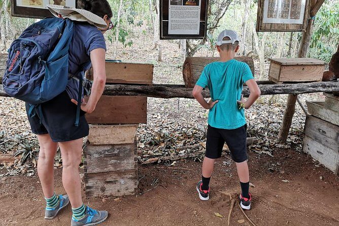 Valladolid Mayan Bees Tour with Lunch or breakfast and Honey Tasting - A Closer Look at the Valladolid Mayan Bees Tour