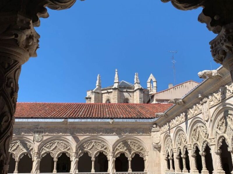 Valladolid: Private Guided Tour with Tapas and Wine Tasting - Exploring Valladolid with a Private Guide: A Detailed Look