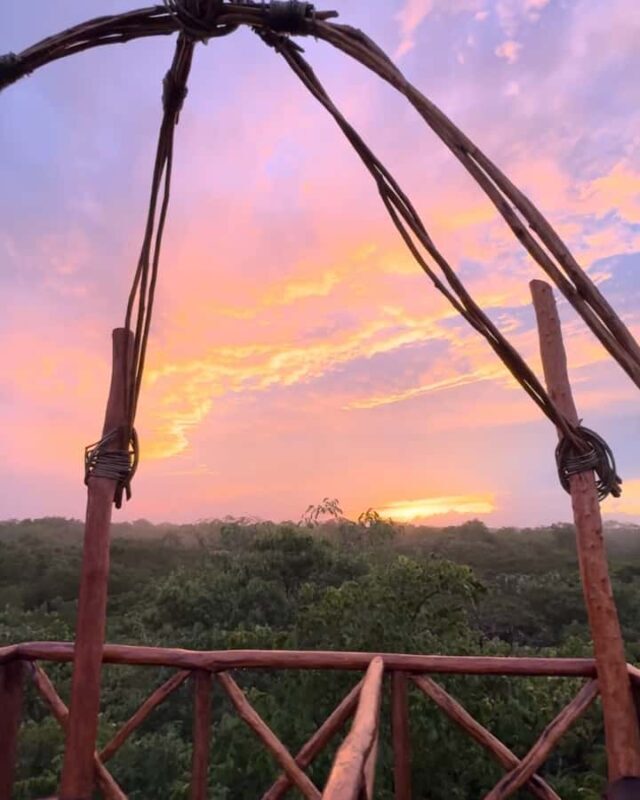 Valladolid: Sunset jungle viewpoint and cenote swim - A Detailed Look at the Valladolid Sunset and Cenote Tour