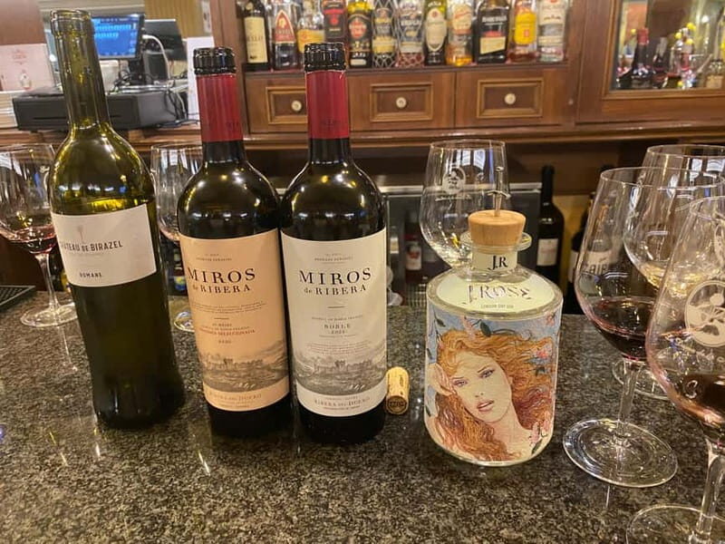 VALLADOLID - the city of the KINGS with a sommelier. Art and wine. - The Sum Up: An Authentic, Well-Balanced Introduction to Valladolid