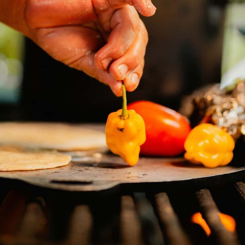 Valladolid: Traditional Cooking Class with Access to a Cenote - An In-Depth Look at the Valladolid Cooking & Cenote Tour