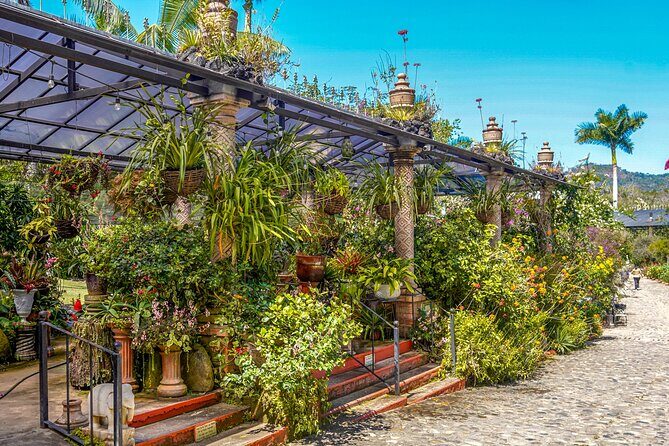 Vallarta Botanical Garden: Private Day Trip of Flora & Fauna - Final Thoughts