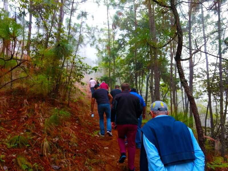Valle de Bravo: Forest Hiking Adventure - The Value of This Forest Hike