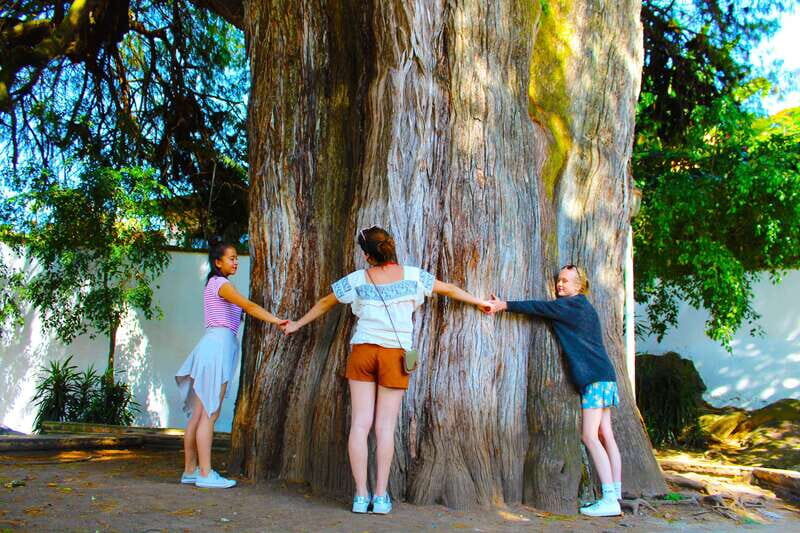 Valle de Bravo: Half-Day Guided City Tour by Van - FAQ