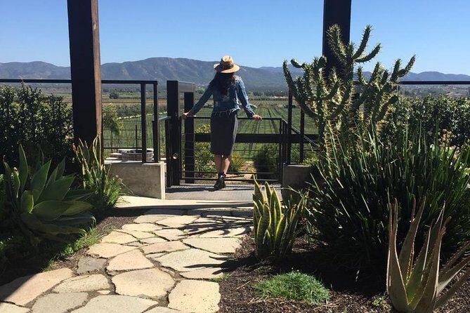 Valle de Guadalupe COUPLES wine tasting for 2 - The Practicalities: What to Know Before Booking