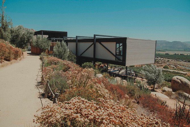 Valle de Guadalupe COUPLES wine tasting for 2 - Who Would Enjoy This Tour?