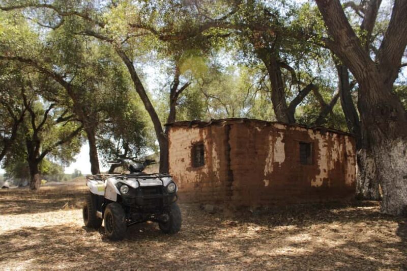 Valle de Guadalupe, Mexico B.C.: Guided tours on ATVs and motorcycles - Discovering Valle de Guadalupe on Two Wheels or Four