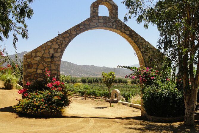 Valle de Guadalupe Private Driver and Vehicle 10 hours - FAQ