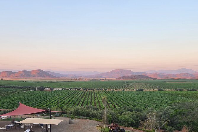 Valle de Guadalupe Private Wine Tour - The Experience of Private Transportation