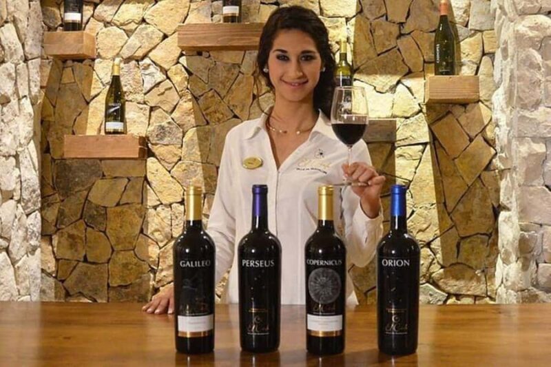 Valle de Guadalupe: Wine Tasting and Wagon Tour - Valle de Guadalupe: Wine Tasting and Wagon Tour