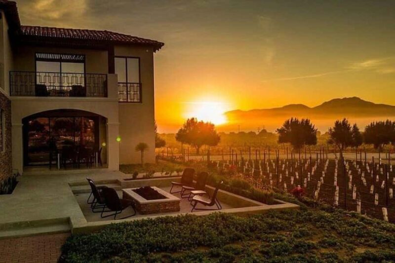 Valle de Guadalupe: Wine Tasting and Wagon Tour - Why This Tour Stands Out