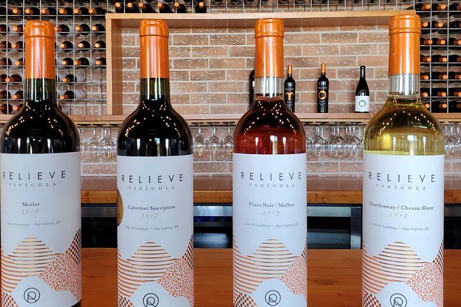 Valle de Guadalupe Wine Tour - Who Should Consider This Tour?