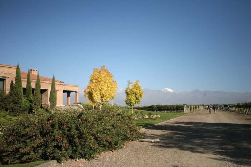 Valle de Uco: Private Full Day Wine Tour with 3-Course Lunch - Who Is This Tour Best Suited For?
