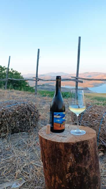 Valle del Belice: Informal and authentic tasting of artisan wines - Final Thoughts