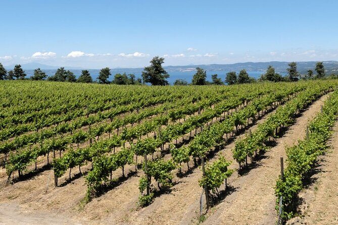 Valle del Lago eBike Tour with Food & Wine Tasting Experience - Final Thoughts