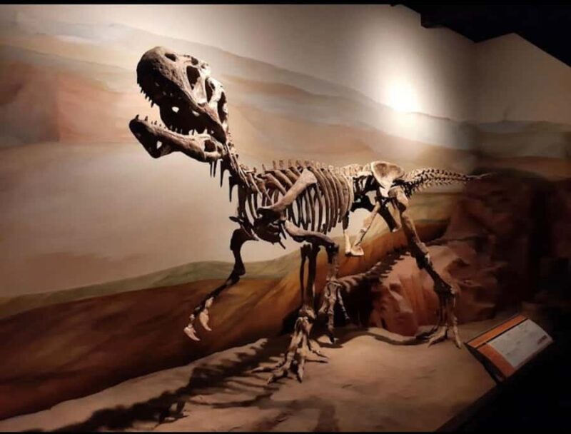 Valle inferior del Rio Chubut - Key Points