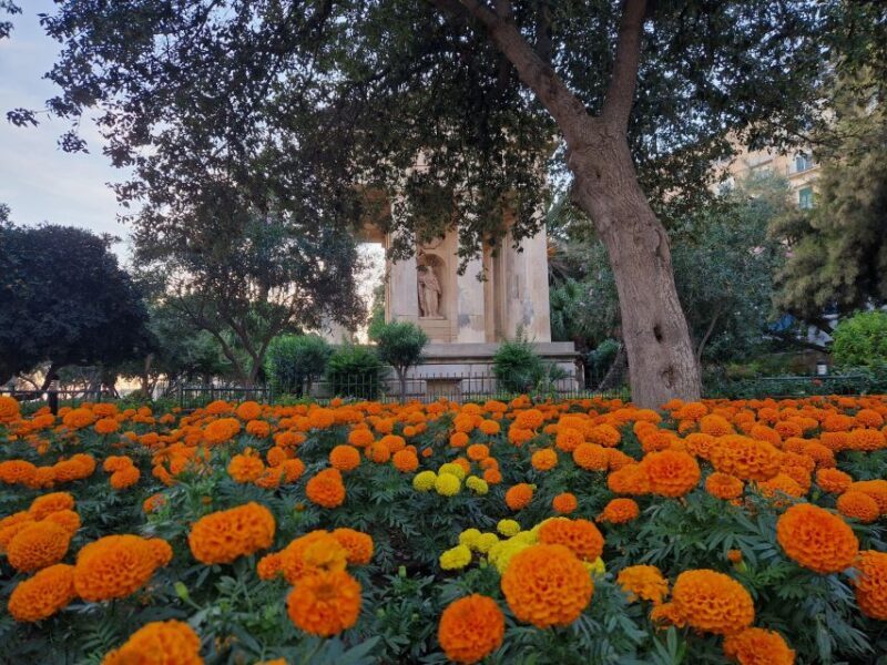 Valletta: City Walking Tour in a Small Group - Discover Valletta’s Charm: A Practical Guide to the Guided City Walking Tour
