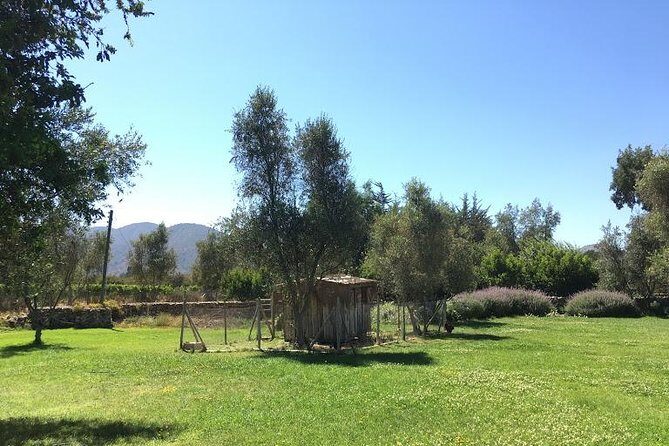 Valley of Casablanca - Frequently Asked Questions