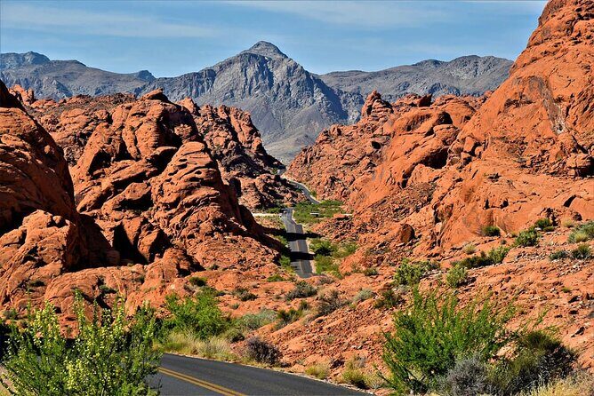 Valley of Fire and Red Rock Canyon - The Sum Up: Who Will Love This Tour?