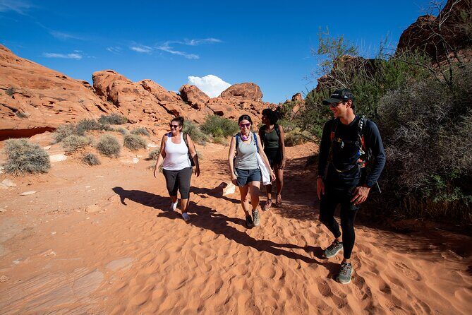 Valley of Fire Guided Hiking Tour and Mojave Desert Adventure - Who Will Love This Tour?