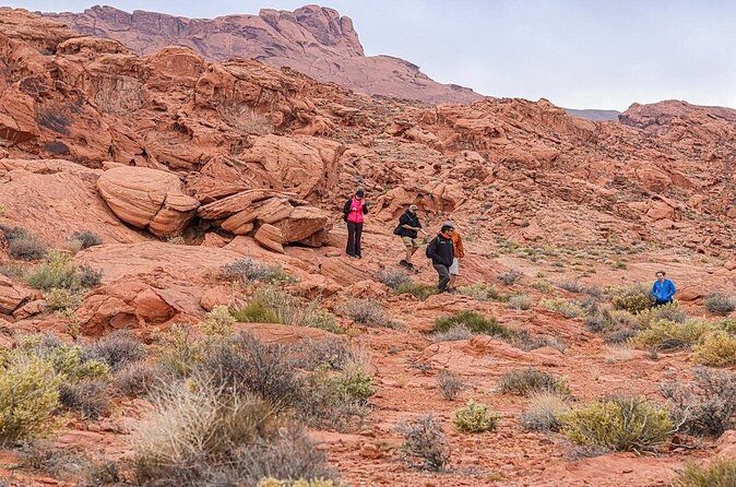 Valley of Fire Half Day Tour - Final Thoughts: Is It Worth It?