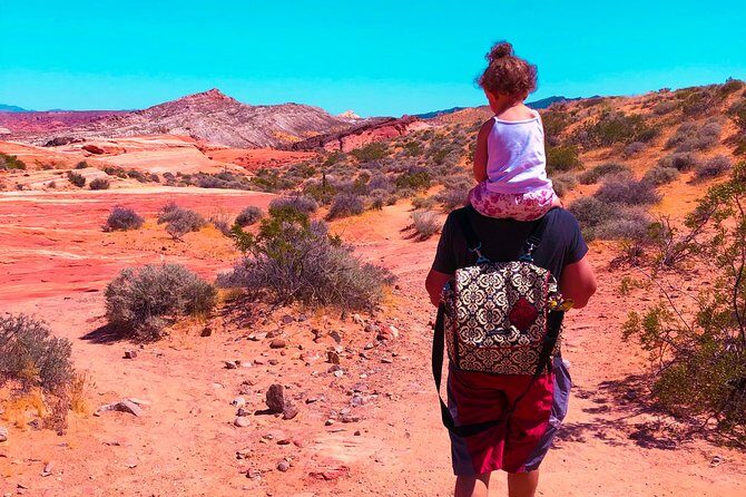 Valley of Fire State Park Day Tour from Las Vegas - Who Will Love This Tour?