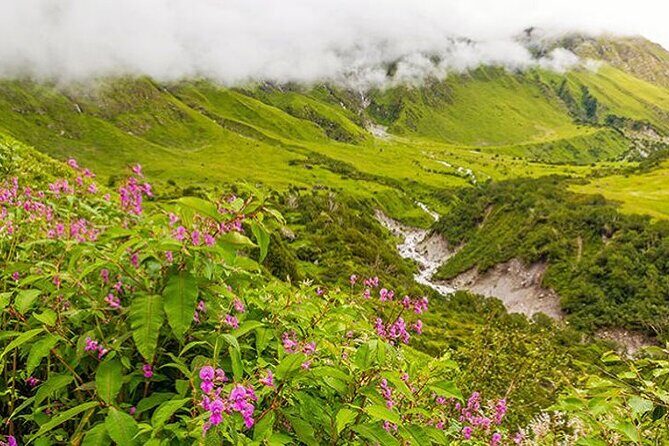 Valley of Flowers and Hemkund Trek- Banbanjara - Experience the Serenity and Majesty of the Valley of Flowers and Hemkund Trek