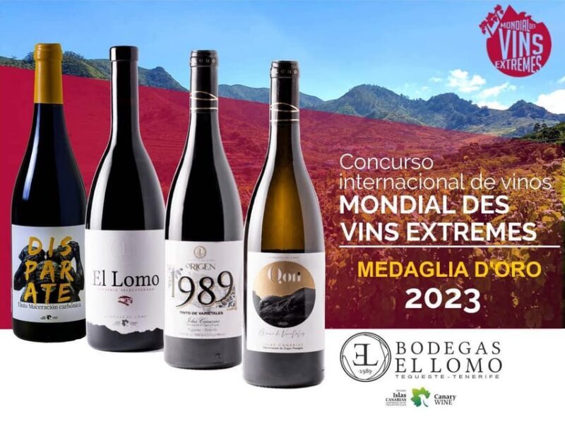 Valley of Tegueste: Wine Tour with Tasting at El Lomo Winery - Who Will Enjoy This Tour?