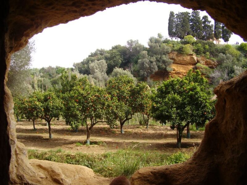 Valley of the Temples: Kolymbethra Garden Entry Ticket - An In-Depth Look at the Kolymbethra Garden Tour