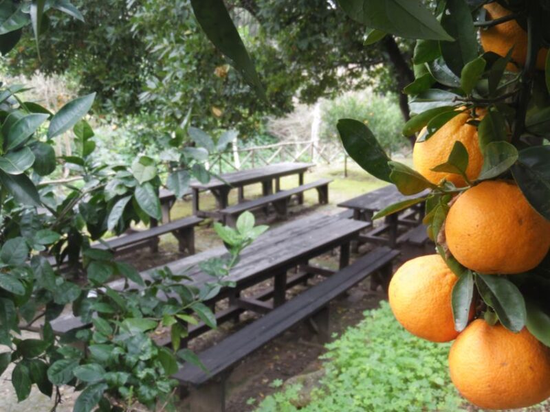 Valley of the Temples: Kolymbethra Garden Entry Ticket - FAQs