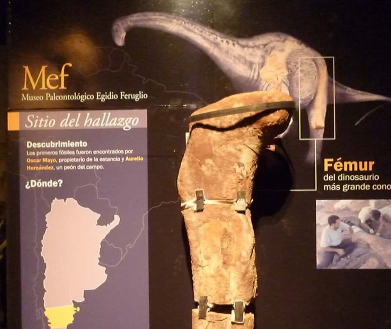 Valley + Paleontological Museum for cruise passengers - Valley + Paleontological Museum for cruise passengers: A balanced look at Patagonia’s heritage and natural wonders