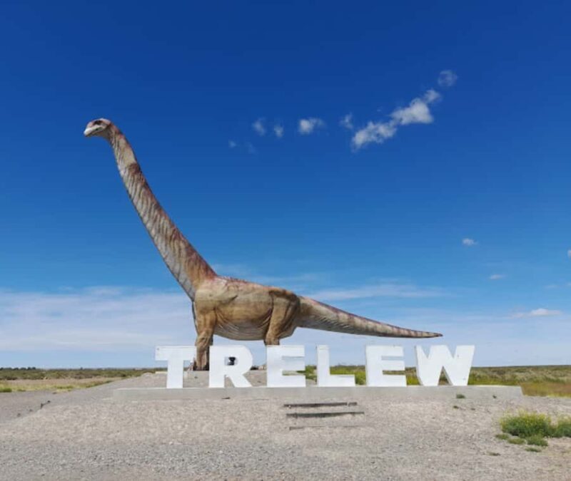 Valley + Paleontological Museum for cruise passengers - Key Points