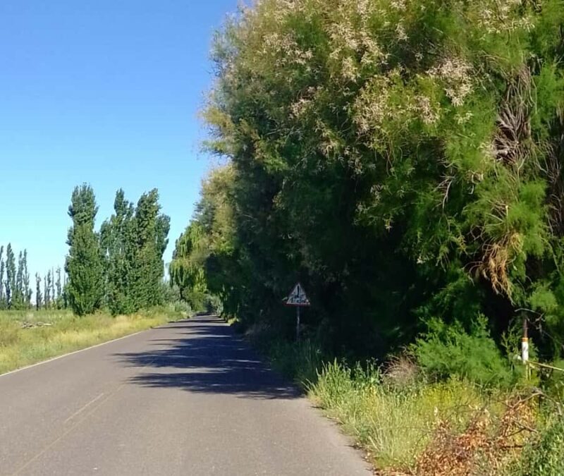 Valley + Paleontological Museum for cruise passengers - Practical Tips for Travelers